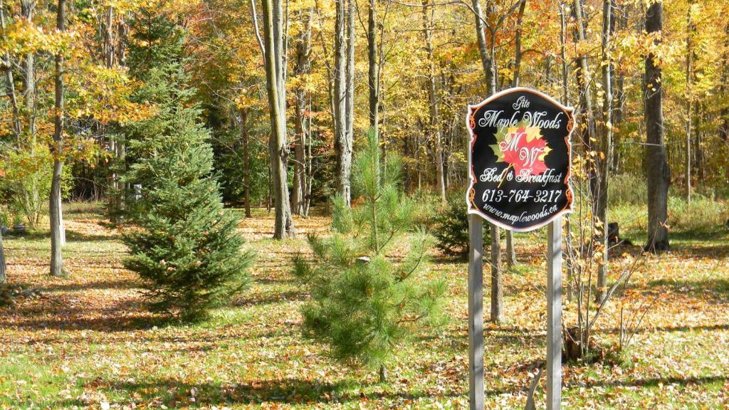 Casselman Maple Woods B&B 외부 사진